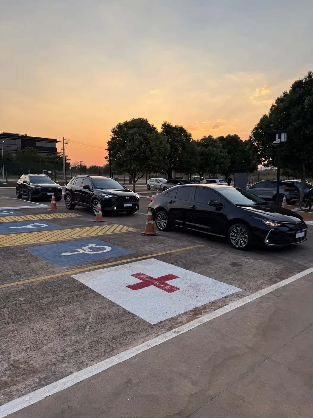 Roas Transfer artist transportation