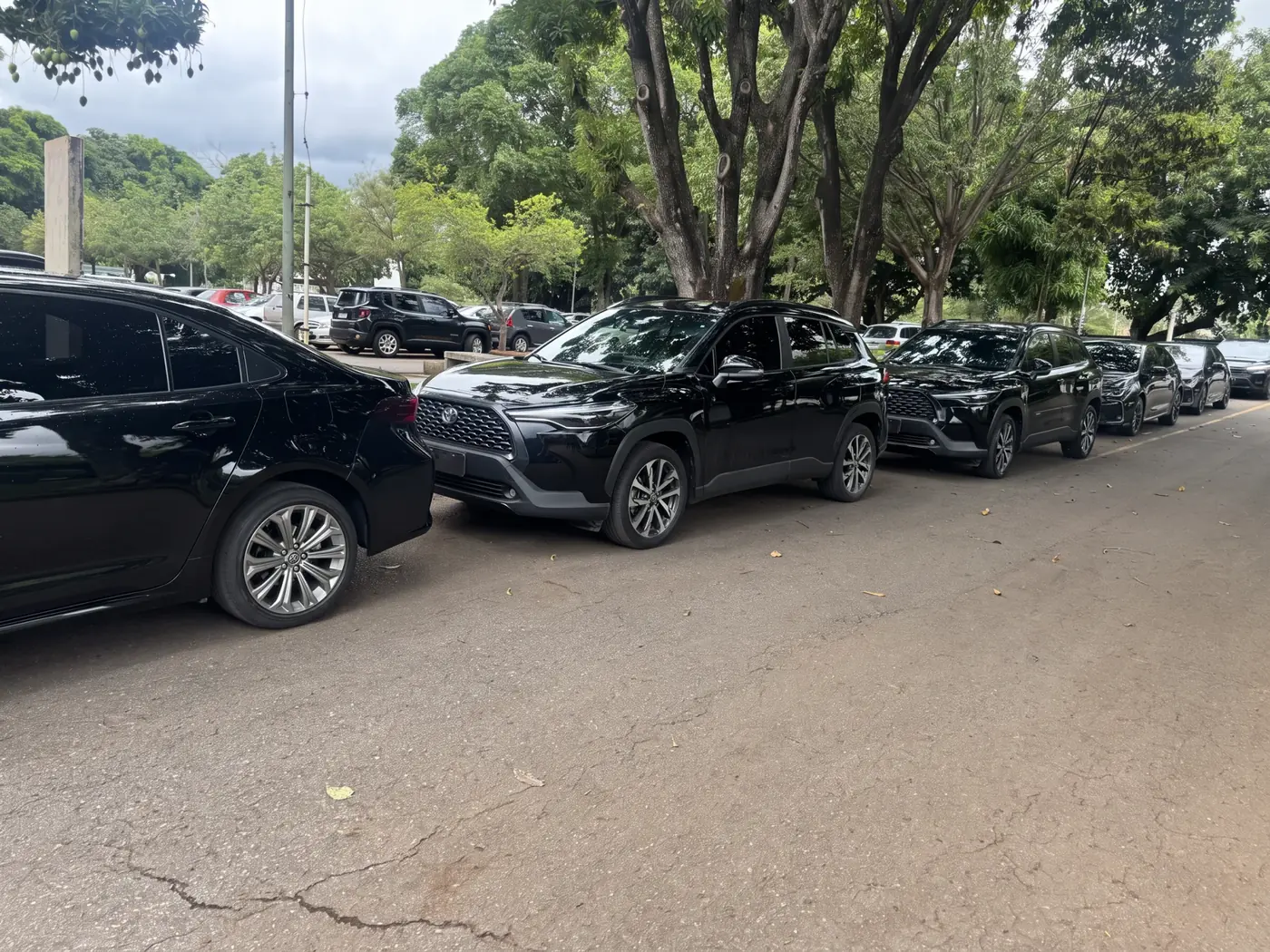 Transfer privativo Roas Transfer de Brasília para Formosa
